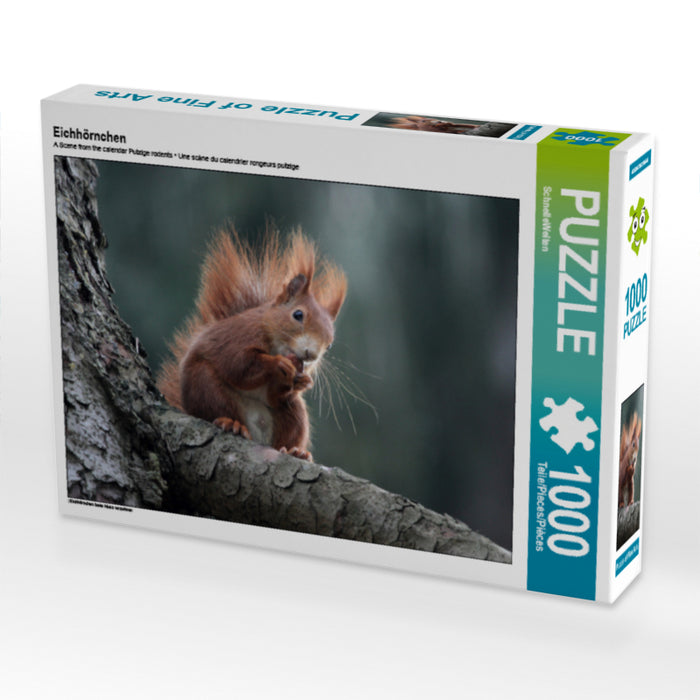 Eichhörnchen 1000 Teile Puzzle quer - CALVENDO Foto-Puzzle'