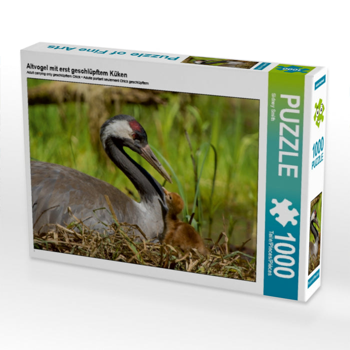 Oiseau adulte avec poussin nouvellement éclos - Puzzle photo CALVENDO 
