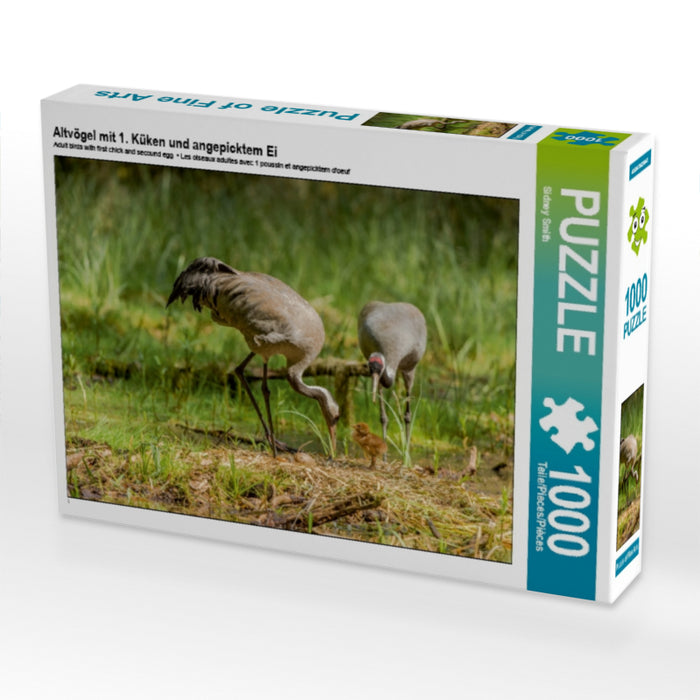Altvögel mit 1. Küken und angepicktem Ei 1000 Teile Puzzle quer - CALVENDO Foto-Puzzle'