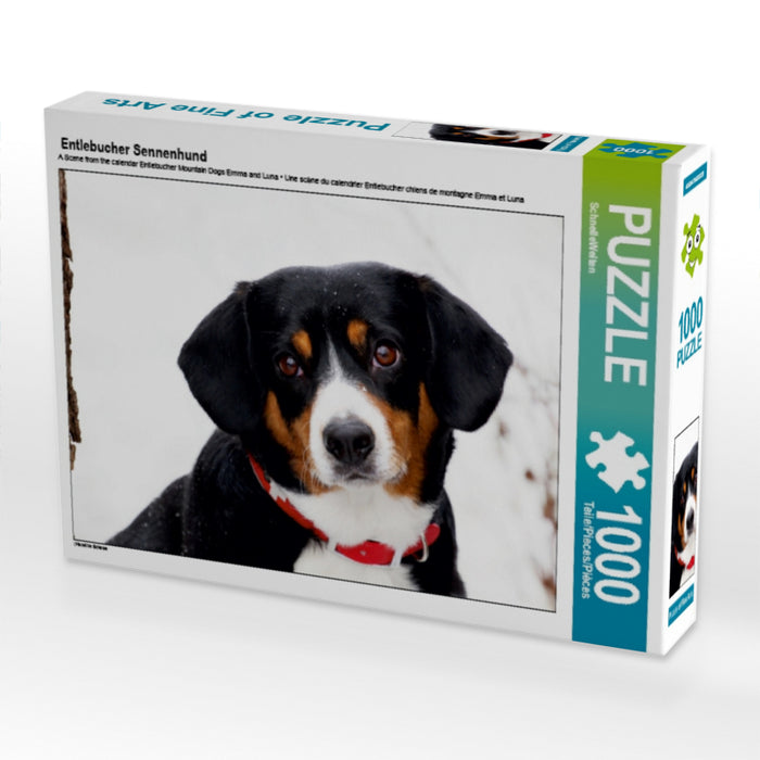 Entlebucher Sennenhund 1000 Teile Puzzle quer - CALVENDO Foto-Puzzle'