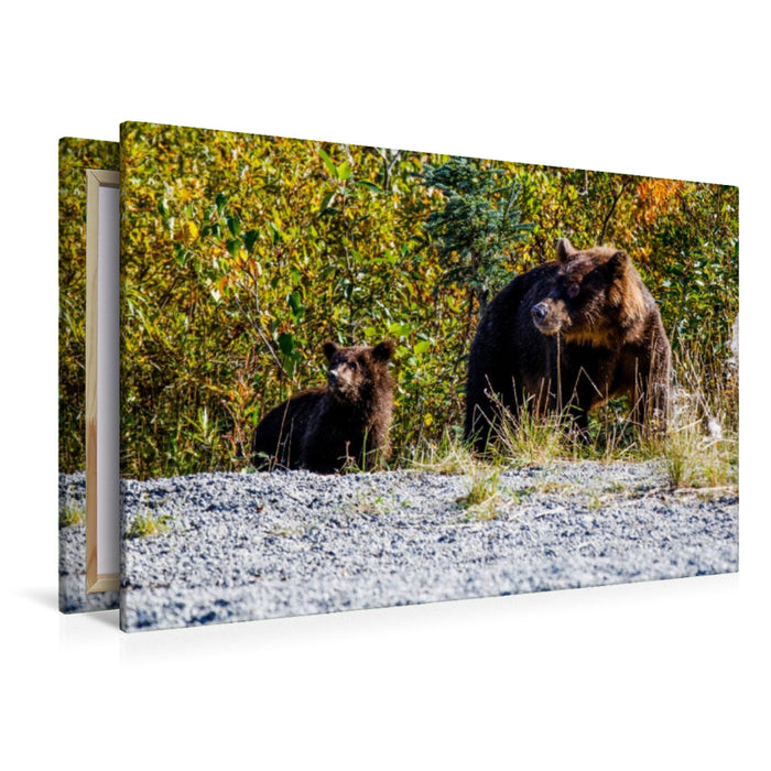 Premium Textil-Leinwand Grizzlys am Straßenrand