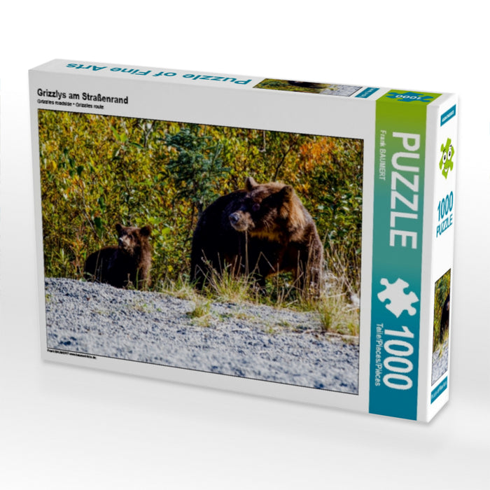 Grizzlies on the side of the road - CALVENDO photo puzzle