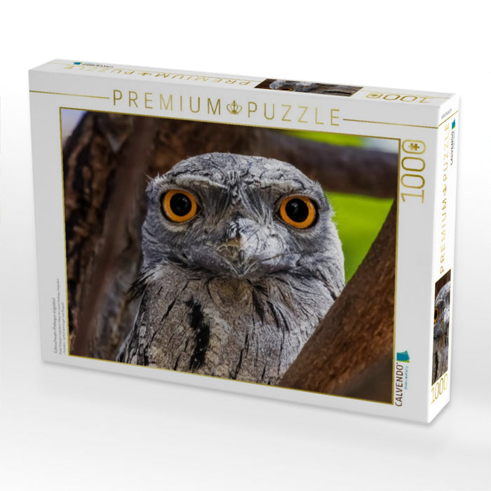 Eulenschwalm (Podargus strigoides) - CALVENDO Foto-Puzzle'