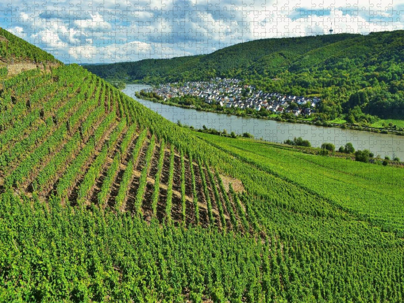 Weinberg in Winningen an der Mosel - CALVENDO Foto-Puzzle'
