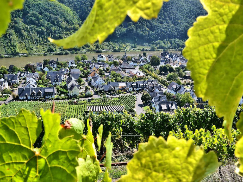 Der Winzerort Winningen an der Mosel - CALVENDO Foto-Puzzle'