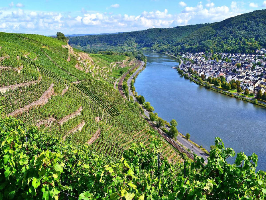 Steillagen in Winningen an der Mosel - CALVENDO Foto-Puzzle'