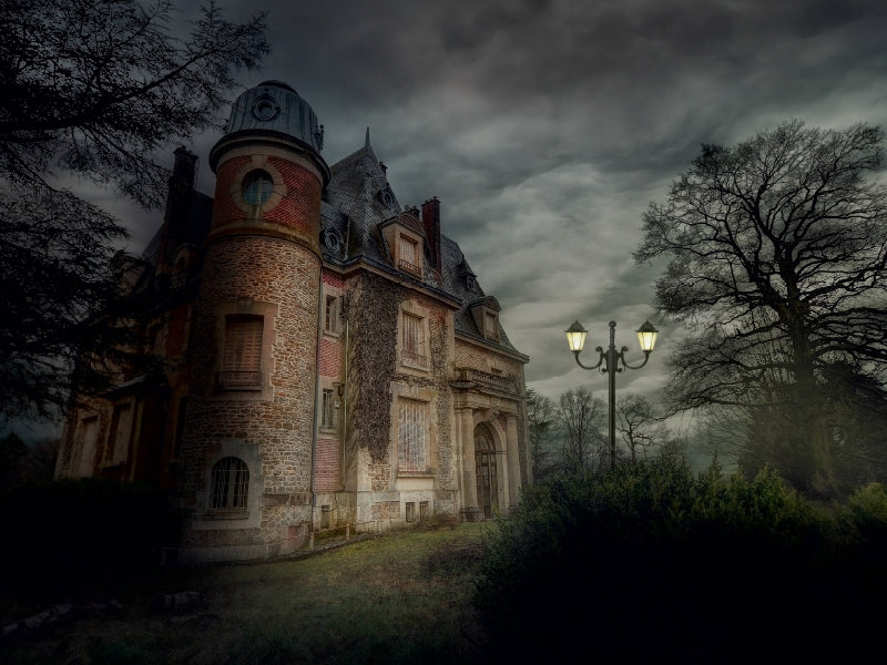 Chateau des F., Frankreich 1000 Teile Puzzle quer - CALVENDO Foto-Puzzle'