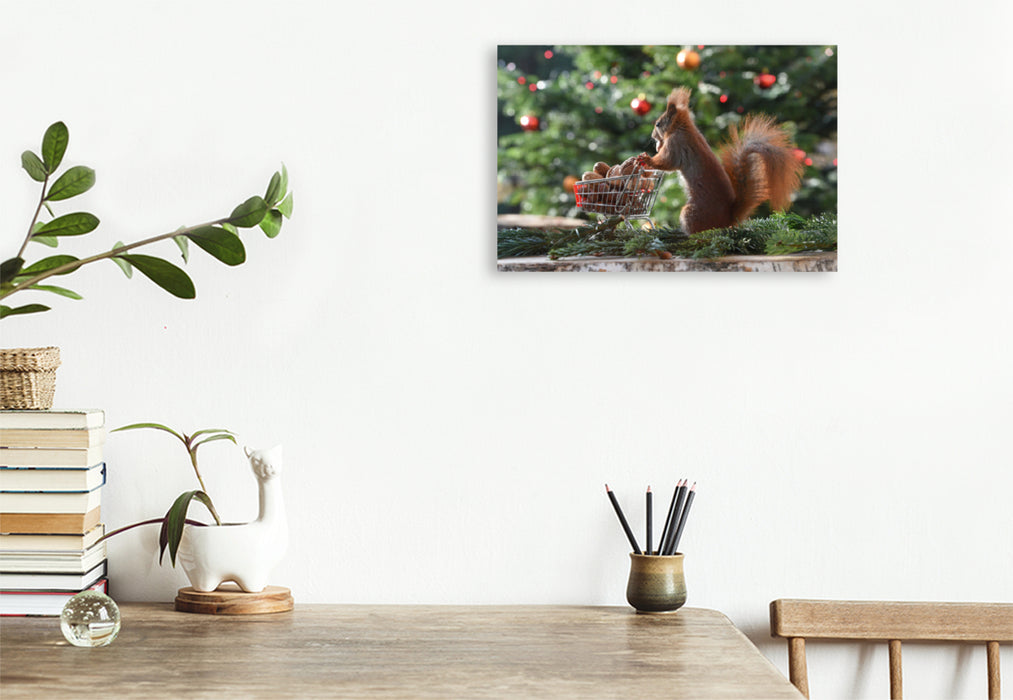 Premium textile canvas Premium textile canvas 45 cm x 30 cm landscape Squirrel Shopping 