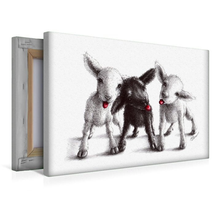 Premium Textil-Leinwand Drei freche Schafe