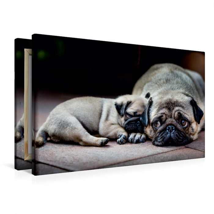Premium Textil-Leinwand Meine Mama