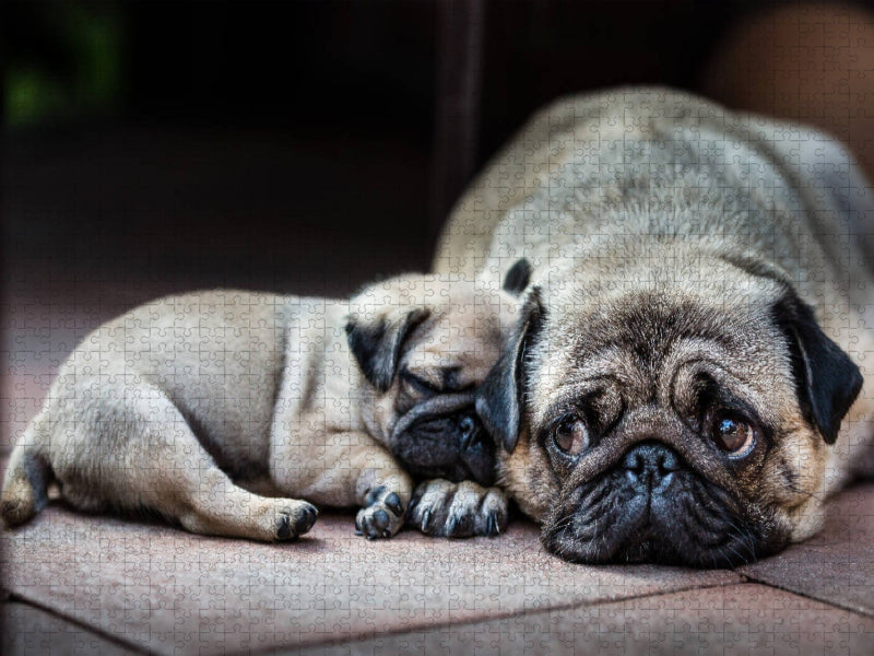 Meine Mama - CALVENDO Foto-Puzzle'