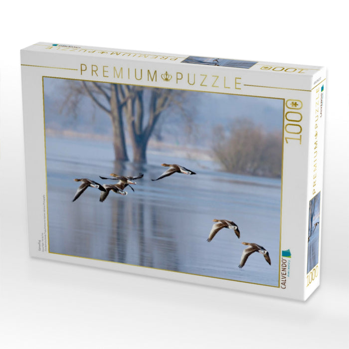 Gänseflug - CALVENDO Foto-Puzzle'