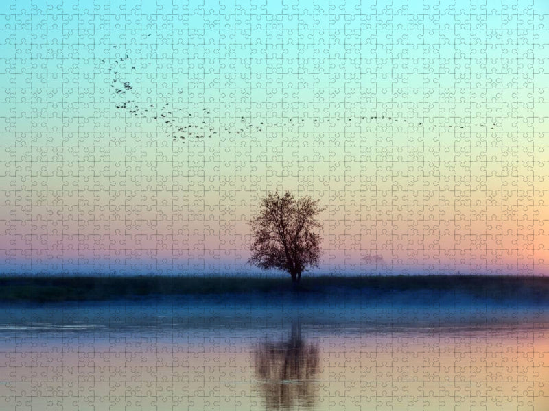 Morgenträume - CALVENDO Foto-Puzzle'