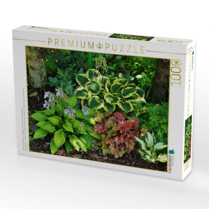Hosta 'June Fever', 'Twilight', 'Fire and Ice' mit Heuchera - CALVENDO Foto-Puzzle'