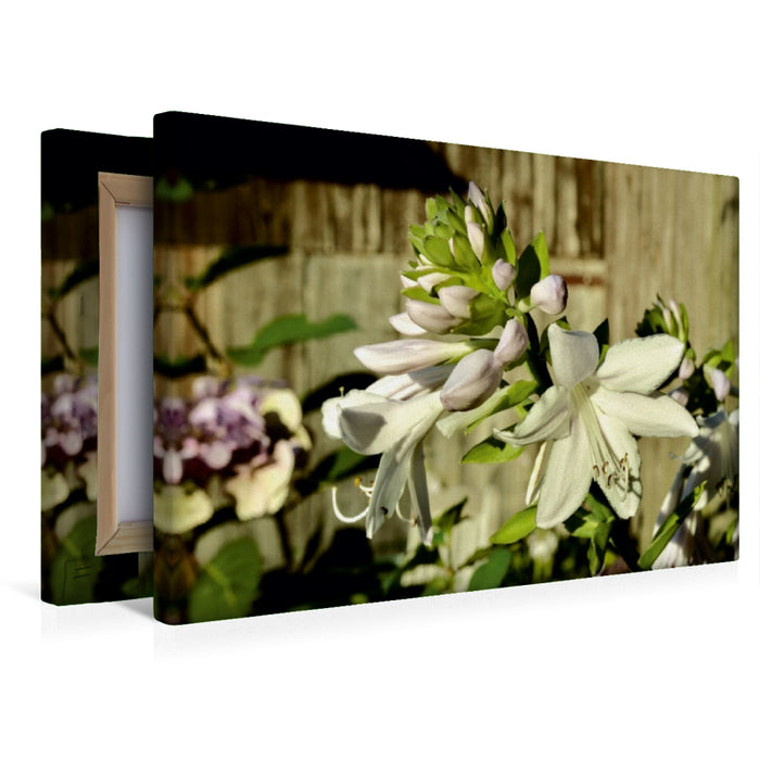 Premium Textil-Leinwand Dufthosta 'Fragrant Bouquet'