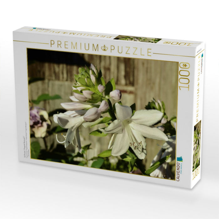 Dufthosta 'Fragrant Bouquet' - CALVENDO Foto-Puzzle'