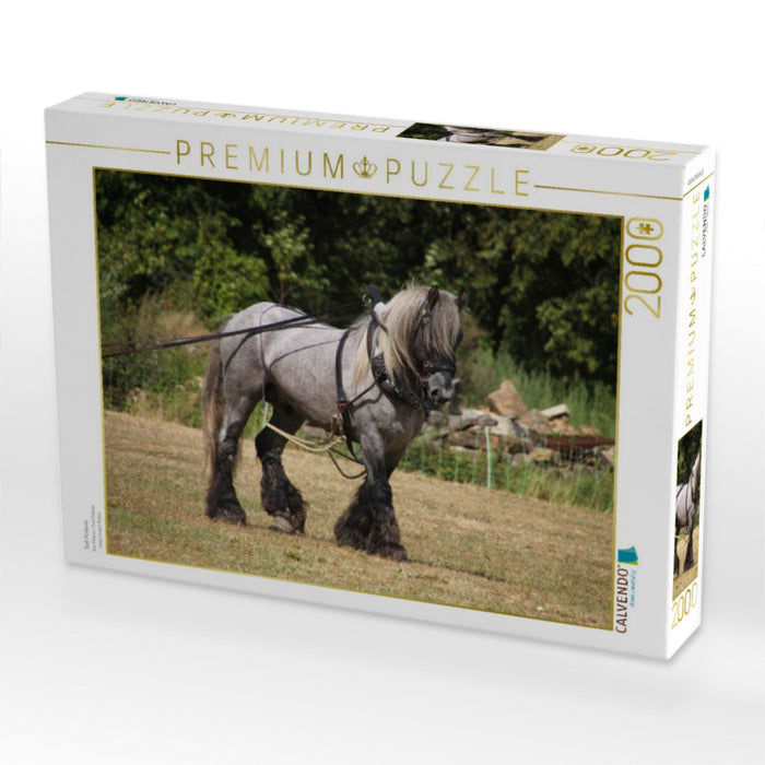 Trait Poitevin - CALVENDO Foto-Puzzle'