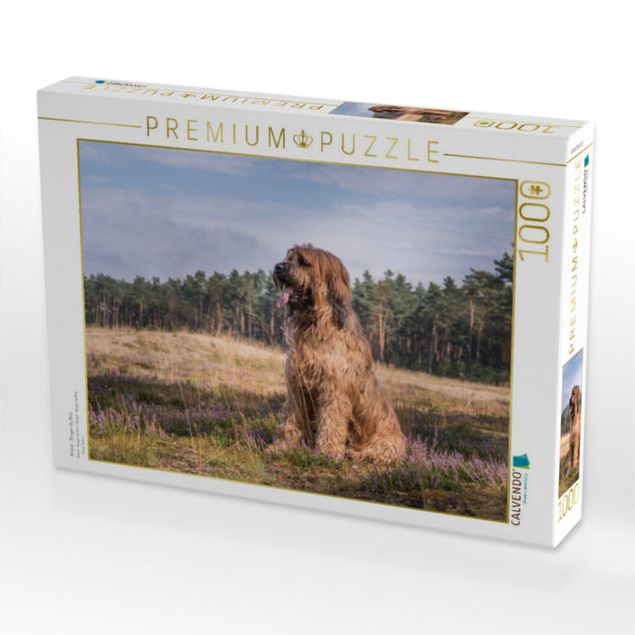 Briard - Berger de Brie - CALVENDO Foto-Puzzle'