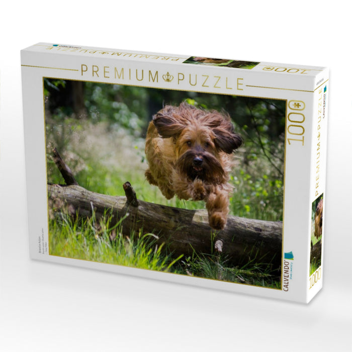 Briard in Action - CALVENDO Foto-Puzzle'