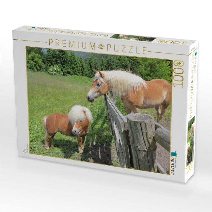 Pony - CALVENDO Foto-Puzzle'