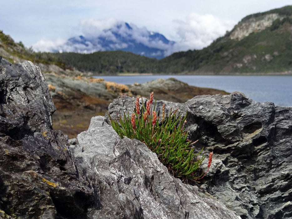 Tierra del Fuego - Große Feuerlandinsel/Argentinien - CALVENDO Foto-Puzzle'