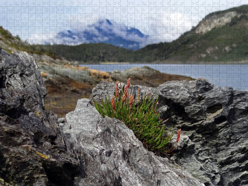 Tierra del Fuego - Große Feuerlandinsel/Argentinien - CALVENDO Foto-Puzzle'