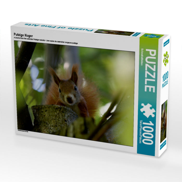 Putzige Nager 1000 Teile Puzzle quer - CALVENDO Foto-Puzzle'