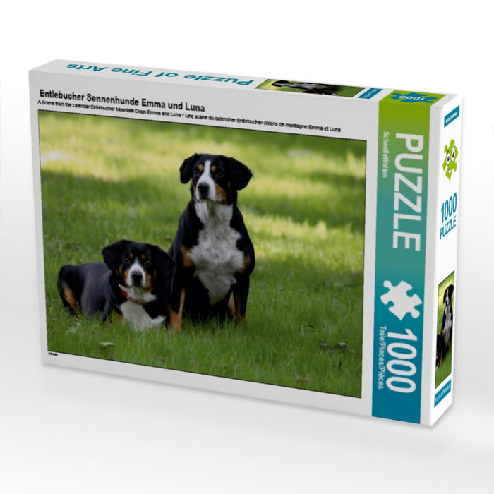 Entlebucher Sennenhunde Emma und Luna 1000 Teile Puzzle quer - CALVENDO Foto-Puzzle'