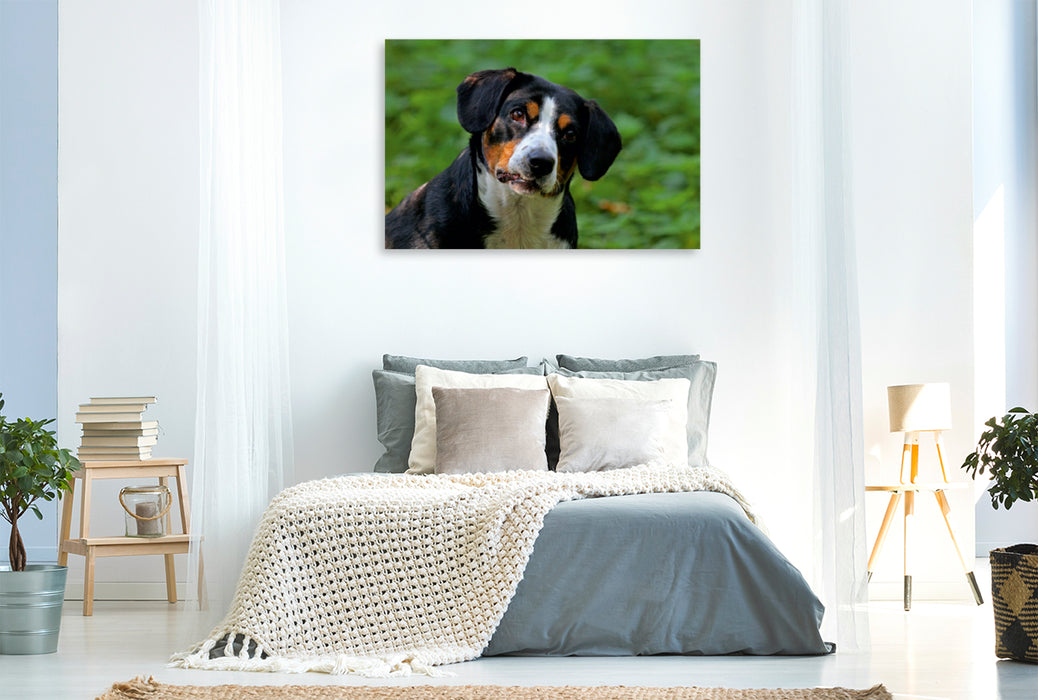 Premium Textil-Leinwand Premium Textil-Leinwand 120 cm x 80 cm quer Entlebucher Sennenhund Emma