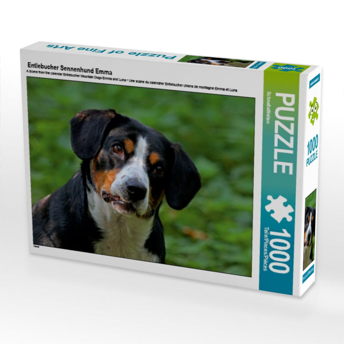 Emma - Puzzle photo CALVENDO Bouvier de l'Entlebuch 