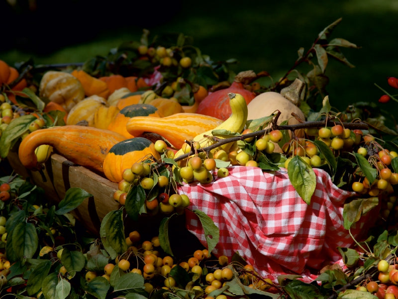 Frisches Obst und Gemüse 1000 Teile Puzzle quer - CALVENDO Foto-Puzzle'