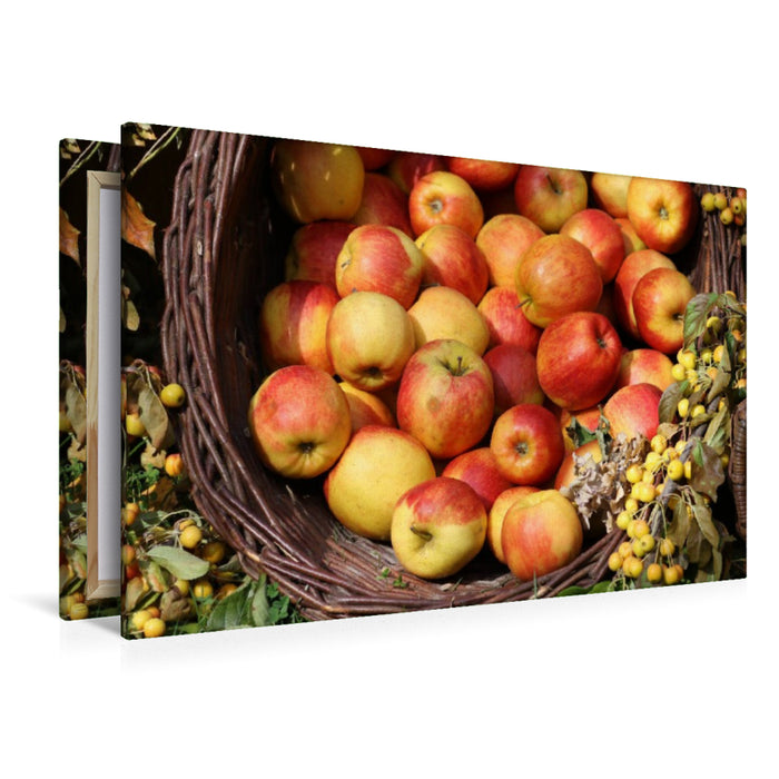 Premium Textil-Leinwand Äpfel
