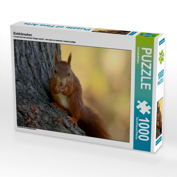 Eichhörnchen 1000 Teile Puzzle quer - CALVENDO Foto-Puzzle'