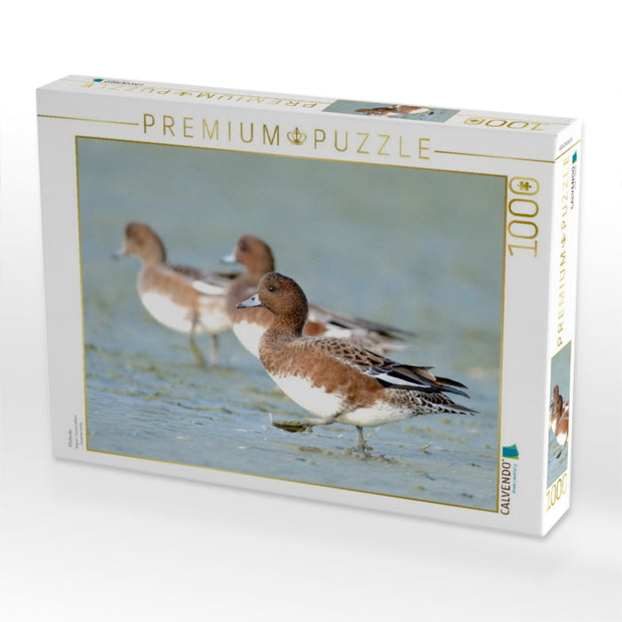 Pfeifente - CALVENDO Foto-Puzzle'