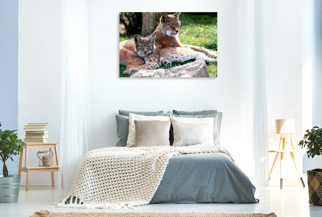 Toile textile premium Toile textile premium 120 cm x 80 cm paysage Famille Lynx - Les chasseurs à l'oreille en brosse 