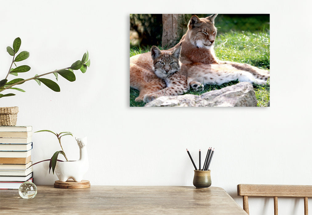 Premium Textil-Leinwand Premium Textil-Leinwand 120 cm x 80 cm quer Familie Luchs - Die Jäger mit dem Pinselohr