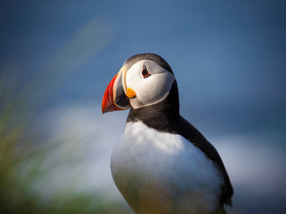 Ein Motiv aus dem Kalender Beautiful Nature - Iceland - CALVENDO Foto-Puzzle'
