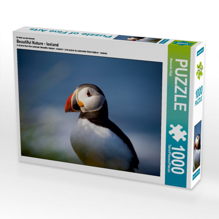 Ein Motiv aus dem Kalender Beautiful Nature - Iceland 1000 Teile Puzzle quer - CALVENDO Foto-Puzzle'
