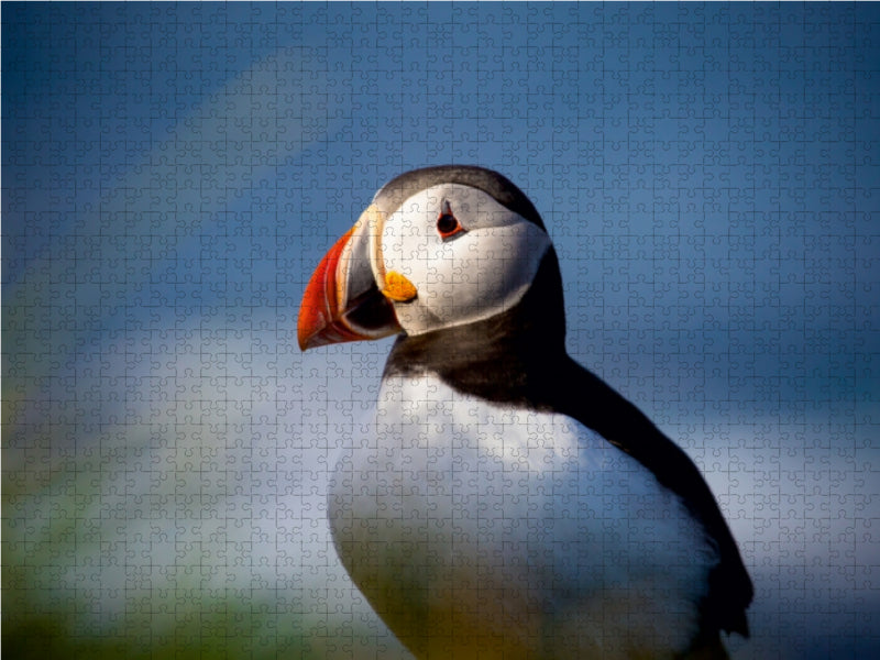 Ein Motiv aus dem Kalender Beautiful Nature - Iceland 1000 Teile Puzzle quer - CALVENDO Foto-Puzzle'