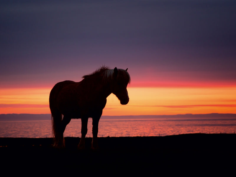 Ein Motiv aus dem Kalender Beautiful Nature - Iceland 1000 Teile Puzzle quer - CALVENDO Foto-Puzzle'
