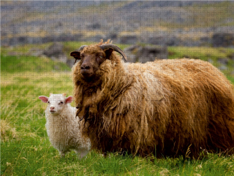 Ein Motiv aus dem Kalender Beautiful Nature - Iceland 1000 Teile Puzzle quer - CALVENDO Foto-Puzzle'