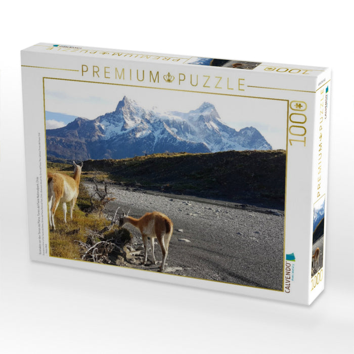 Guanakos vor den Torres del Paine, Torres del Paine Nationalpark, Chile - CALVENDO Foto-Puzzle'