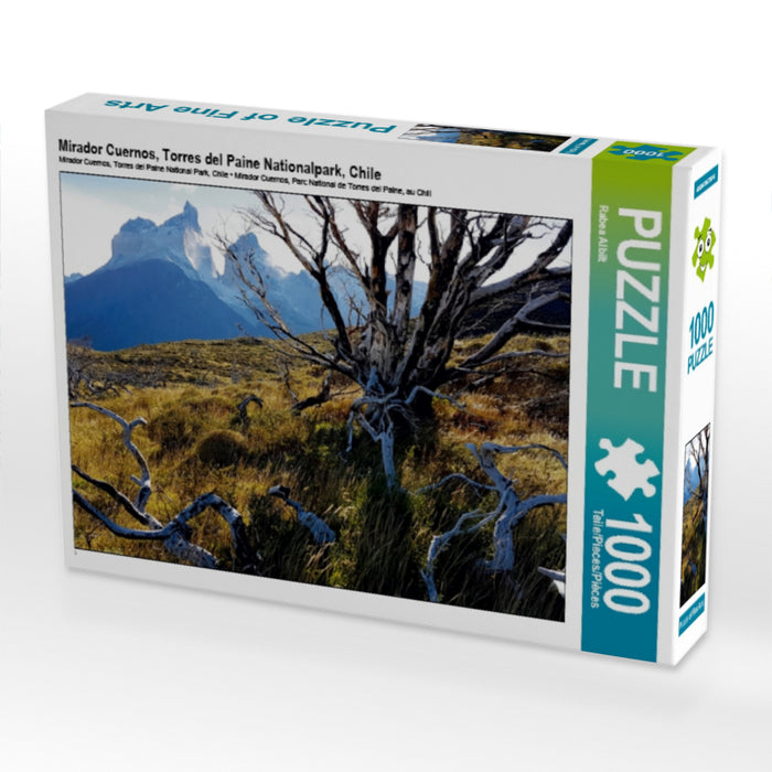 Mirador Cuernos, Torres del Paine Nationalpark, Chile 1000 Teile Puzzle quer - CALVENDO Foto-Puzzle'
