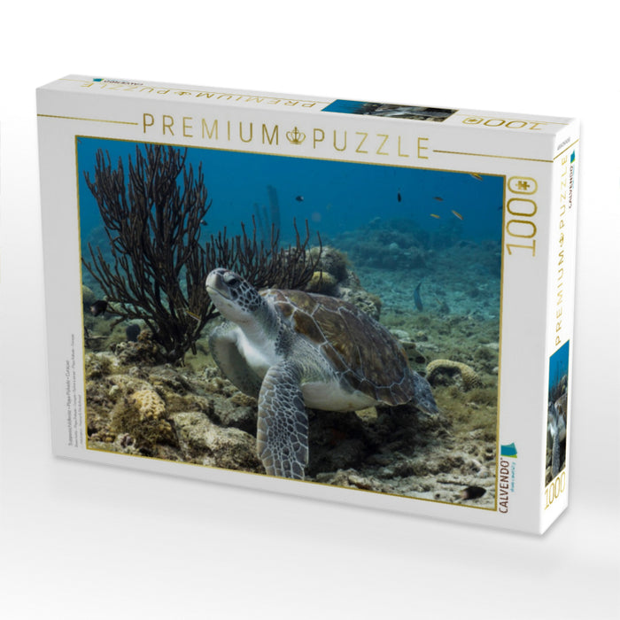 Suppenschildkröte • Playa Piskado • Curaçao - CALVENDO Foto-Puzzle'