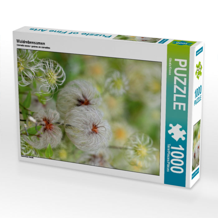 Graines de clématites - Puzzle photo CALVENDO 