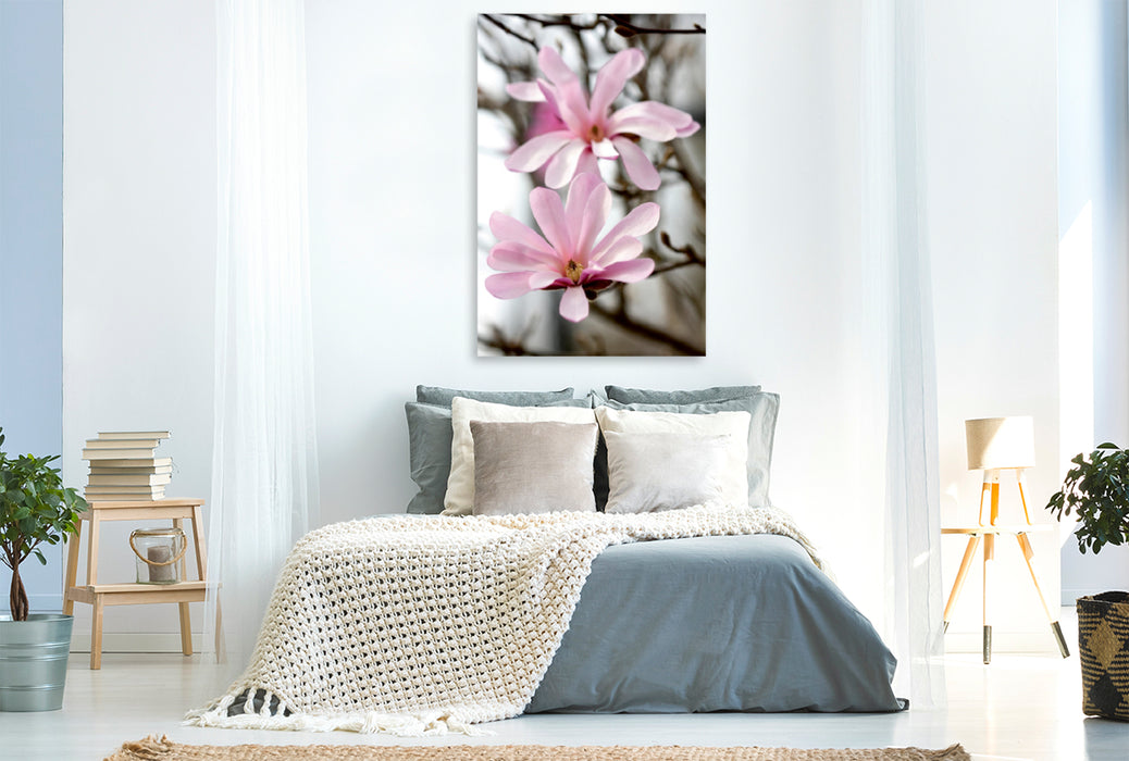 Toile textile premium Toile textile premium 80 cm x 120 cm de haut magnolias étoiles 