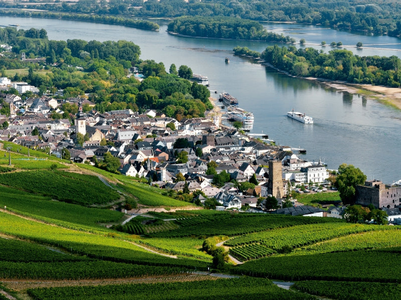 Rüdesheim mit Brömserburg und Boosenburg 1000 Teile Puzzle quer - CALVENDO Foto-Puzzle'