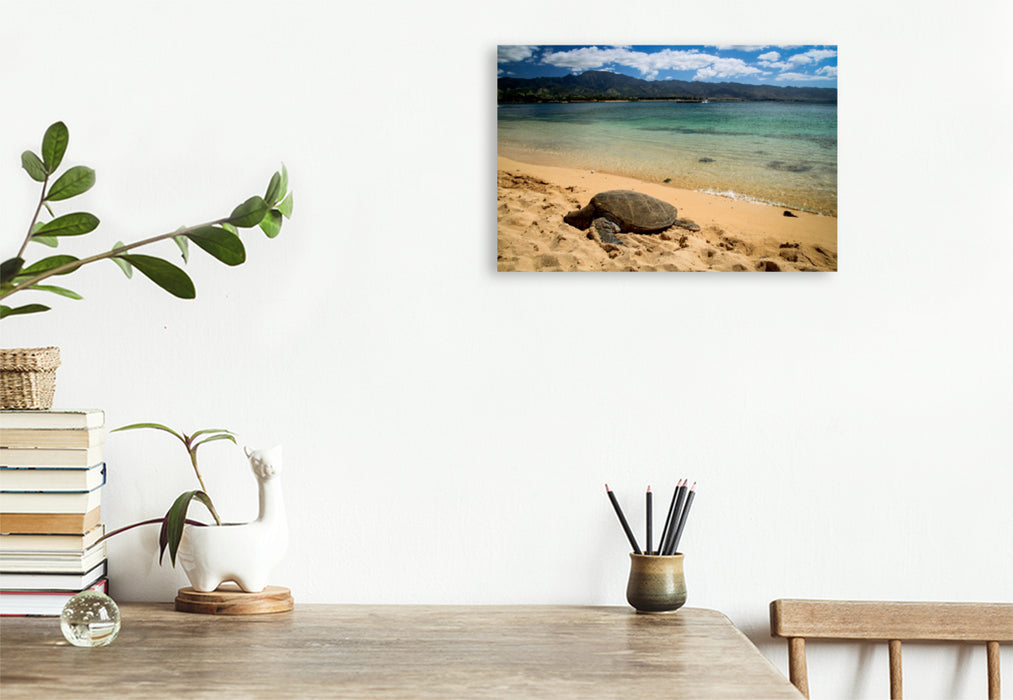 Toile textile premium Toile textile premium 120 cm x 80 cm paysage Haleiwa Beach - Oahu 