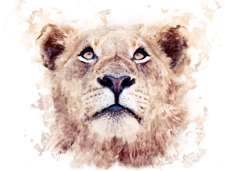 Löwe 1000 Teile Puzzle quer - CALVENDO Foto-Puzzle'