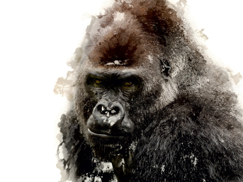 Gorilla 1000 Teile Puzzle quer - CALVENDO Foto-Puzzle'